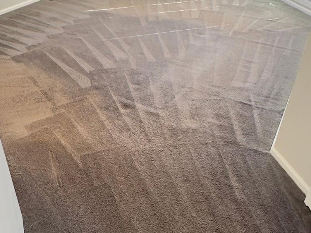 Same carpet after professional MyKleaner steam cleaning, clean and refreshed